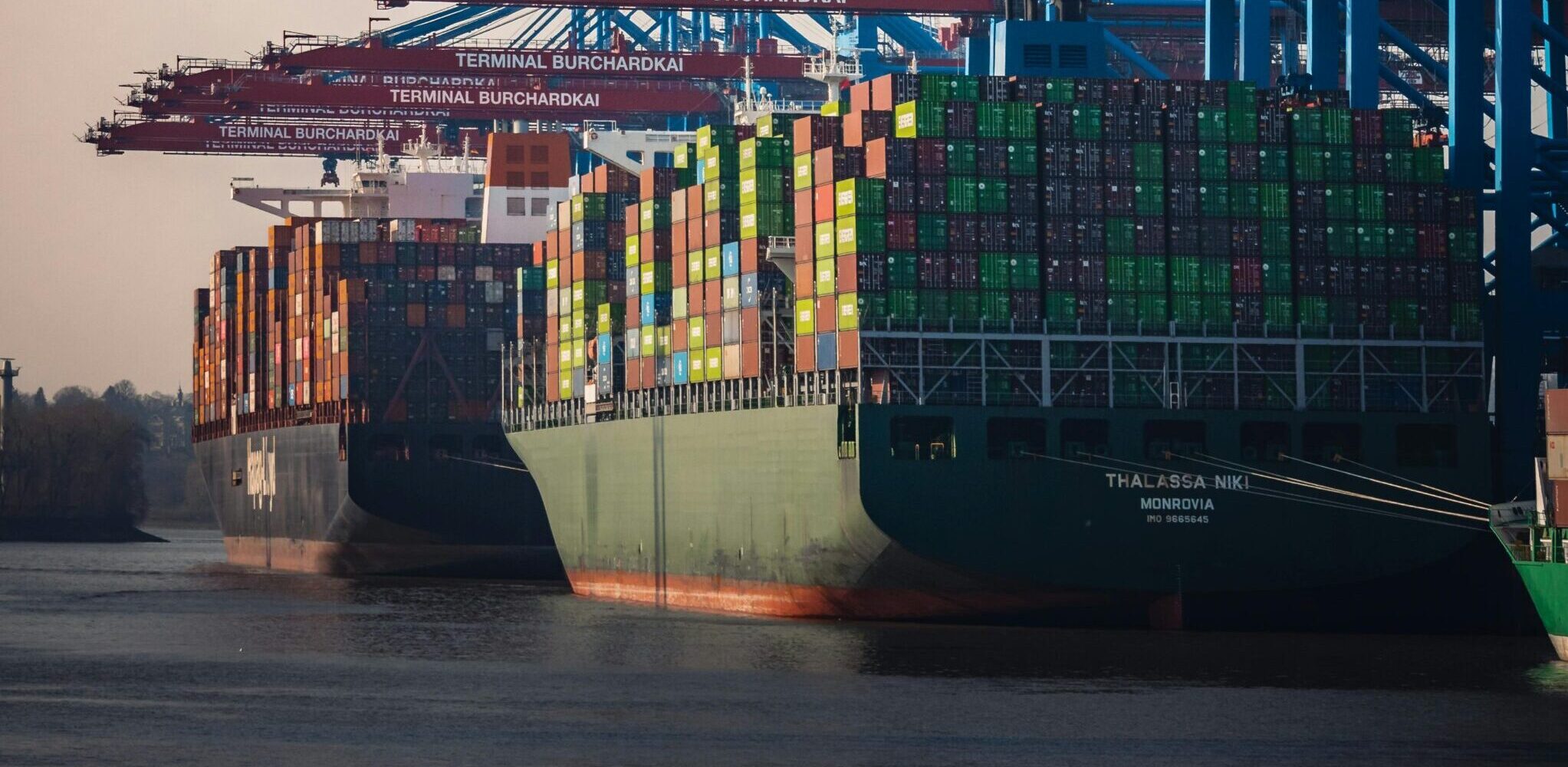 Cargo ships and cranes at Hamburg Burchardkai Terminal during day.